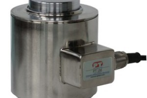 Cân tải trọng cẩu Tenova tại công trường Phú Mỹ